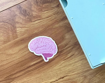 Pink Brain Sticker: Waterproof Vinyl Decal for Laptop, Water Bottle