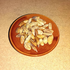 Op de afbeelding: Een kleine, ronde, bruine keramische kom gevuld met een stapel langwerpige, lichtbruine dadels. De dadels hebben een gerimpelde textuur en zijn willekeurig gerangschikt. De kom staat op een lichtbruin oppervlak.