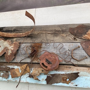 May include: A collection of weathered, rusted metal scraps and fragments of various shapes and sizes, including a curved metal band, a thin wire coil, a circular plate, and several jagged, oxidized iron pieces arranged on a wooden surface.