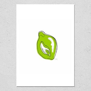 Lime Illustration Print | Citrus Art Print | Food Wall Art | Home Decor | Kitchen Art | Fruit Illustration | Lime Drawing