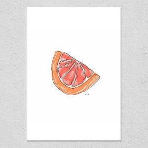 Grapefruit Illustration Print | Citrus Art Print | Food Wall Art | Home Decor | Kitchen Art | Fruit Illustration | Grapefruit Drawing