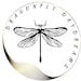 DragonflyDaydreamsUS