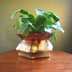 May include: A small, decorative, gold-colored glass planter with a geometric design, holding a green plant with multiple leaves. The planter sits on a wooden surface, with a soft, blurred background.