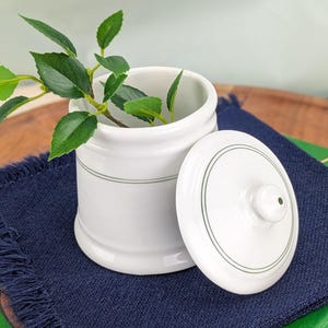 May include: A white ceramic canister with a matching lid, featuring a thin dark green horizontal line around the body and a circular green line on the lid. A small green leafy branch is placed inside the open container, which has a smooth finish.