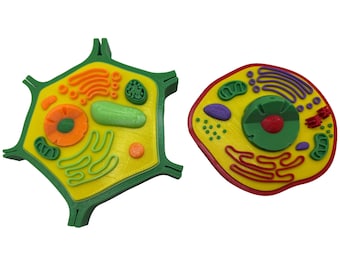 3d Printed Plant & Animal cell models educational science stem learning tools kits