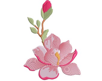magnolia flower