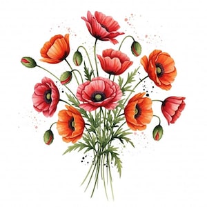 14 Abstract Poppies Clipart, Watercolor Flowers Clipart, Printable Poppy Clipart, High Quality JPGs, Digital Download, Papercrafts, Journals