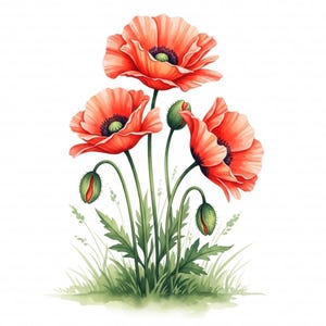 13 Neon Poppy Flowers Clipart, Orange Poppies, Poppy Clipart, Printable Watercolor Clipart, High Quality JPGs, Digital Download, Papercrafts