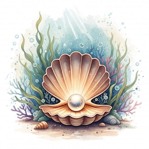 Seashell Clipart, Printable Watercolor Pearls (Digital Download, Commercial Use JPGs)