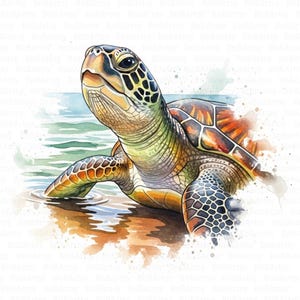 11 Watercolor Sea Turtle Clipart, Marine Turtle, Coastal Beach Printable, High Quality JPG, Digital Download, Sublimation, Junk Journal