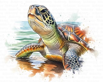 11 Watercolor Sea Turtle Clipart, Marine Turtle, Coastal Beach Printable, High Quality JPG, Digital Download, Sublimation, Junk Journal