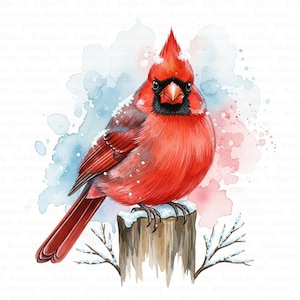 medik8 ctetra lipid vitamin c radiance serum reviews Winter Bird Clipart Insulated Hot Cups