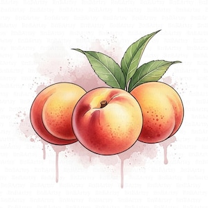 17 Peach Clipart, Rustic Botanical, Fruit Cluster, Baby Peach, Peaches with Leaves Clipart, JPG Digital Download Junk Journal, Papercraft
