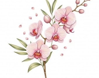 18 Pink Orchid Flower Clipart, Botanical Orchid, Printable Watercolor Clipart, High Quality JPGs, Digital Download, Papercraft, Junk Journal