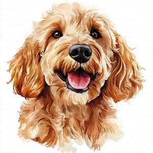 May include: Watercolor painting of a golden doodle dog with a happy expression. The dog has brown eyes, a black nose, and a pink tongue. The fur is a light brown color and appears soft and fluffy. The dog is looking directly at the viewer.