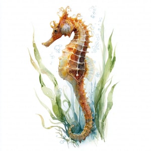 May include: A watercolour painting of a seahorse in shades of brown and orange, with a detailed fin and tail. The seahorse is surrounded by green seaweed and bubbles, set against a white background.