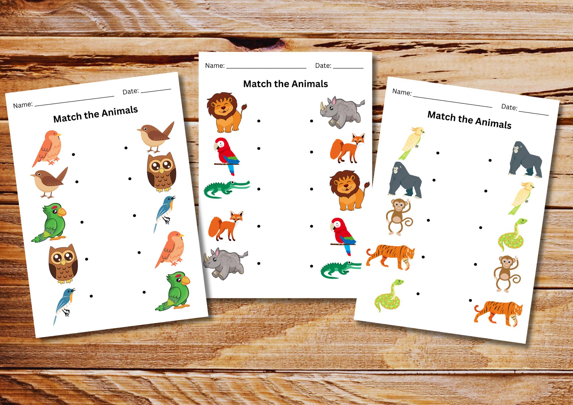 20 Animal Matching Worksheets, Kindergarten Preschool Activity (PDF ...