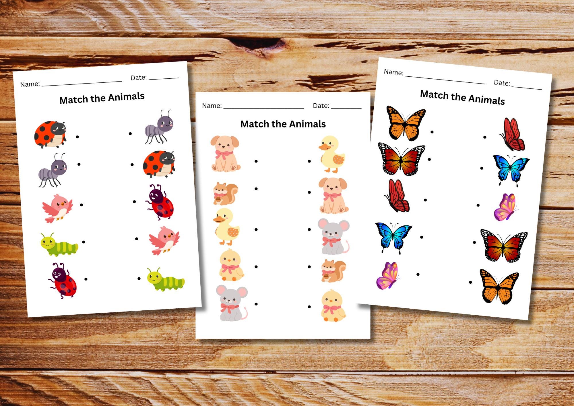 20 Animal Matching Worksheets, Kindergarten Preschool Activity (PDF ...