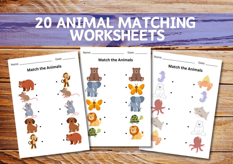 20 Animal Matching Worksheets, Kindergarten Preschool Activity (PDF ...