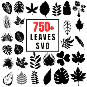 Op de afbeelding: Een verzameling van 750+ SVG-bladontwerpen in zwart en wit. De afbeelding toont verschillende bladvormen, waaronder tropische, varen- en esdoornbladeren, perfect voor digitale ontwerpprojecten.