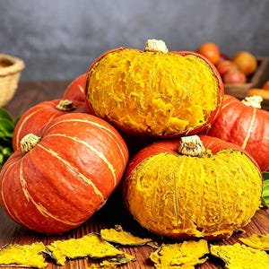 10 Cucurbita maxima frön | Hokkaido pumpa | Heirloom vinterpumpa | Icke-GMO grönsaksfrön | Cucurbita maxima | Lätt att odla