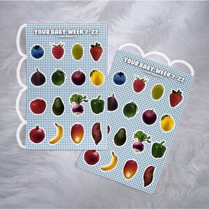 Jouw baby | Stickervel fruit/groenten om zwangerschap te volgen (week 7-22)