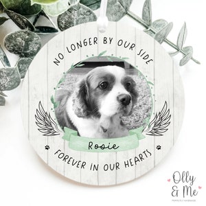 Personalised Pet Bereavement Photo Plaque | Dog/Cat/Horse/Rabbit | Memorial/Remembrance/Sympathy/Condolence Quote Gift | Family Keepsake