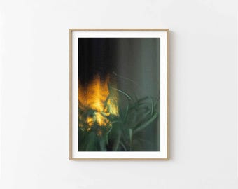 Gefrostetes Fensterbild | Architektur Fotografie