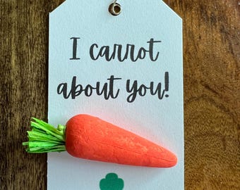 May include: A white tag with a safety pin attached to the top. The tag has the text "I carrot about you!" printed on it. A small orange carrot with green leafy tops is attached to the tag. A green Girl Scout logo is printed in the bottom center of the tag.