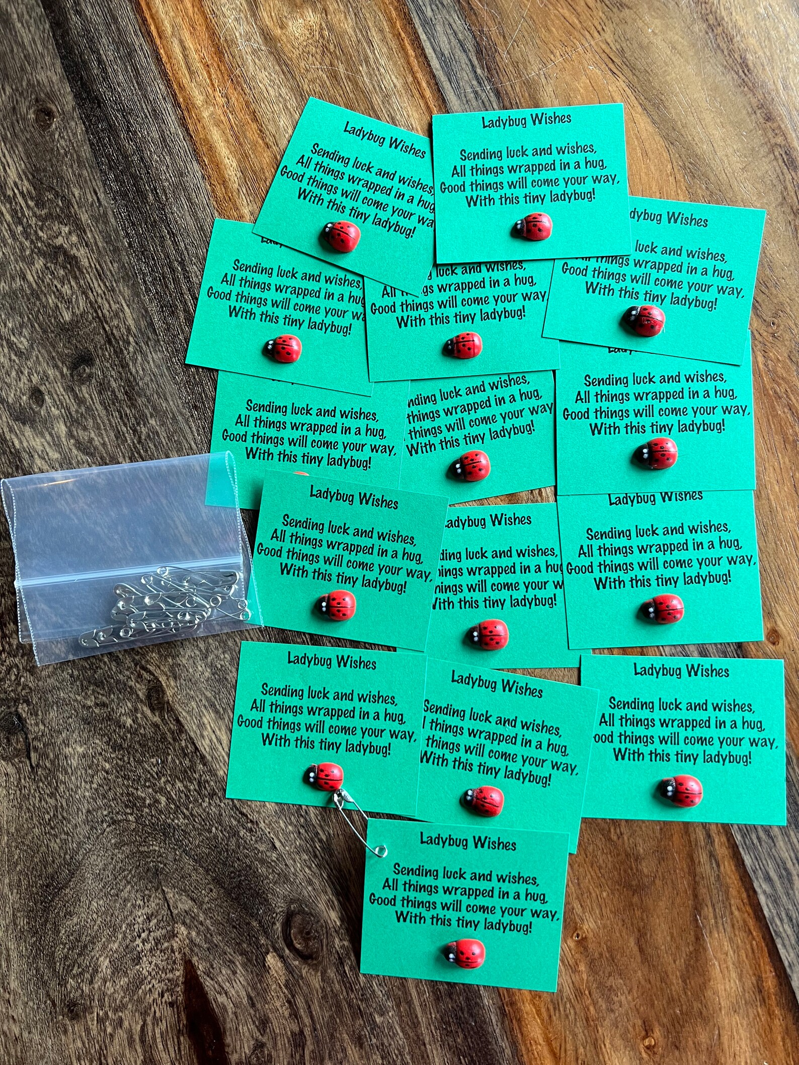SWAP Girl Scout Swaps Ladybug Wishes Set of 15 - Etsy