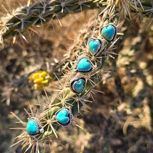 May include: A close-up shot of heart-shaped turquoise earrings with silver-colored metal trim. The earrings are arranged on a cactus branch with sharp spines. The background is blurred, showing a desert environment.