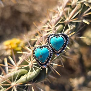 May include: A pair of heart-shaped turquoise earrings with a silver rope-like border. The earrings are set against a blurred background of a cactus with sharp spines, creating a Southwestern aesthetic.