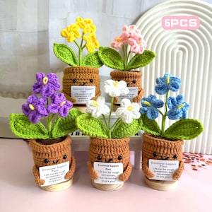 Jolies plantes en pot de myosotis au crochet, plante de soutien émotionnel, cadeau de fête des pères, cadeau pour maman, papa, enseignant, ami, équipe.