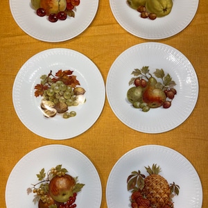 Set of 6 Hutschenreuther Germany  Salad / Dessert Size Plates
