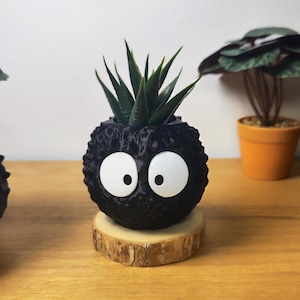Op de afbeelding: Een zwarte, getextureerde plantenpot in de vorm van een stripfiguur met grote witte ogen. De pot bevat een groene vetplant en staat op een klein houten schijfje. Een andere pot is gedeeltelijk zichtbaar.