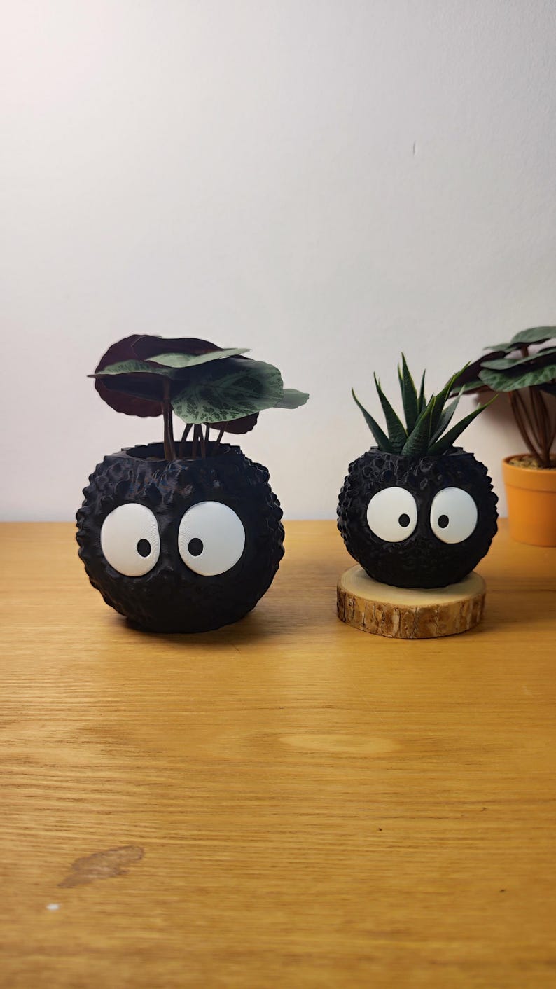 Op de afbeelding: Twee zwarte, bolvormige plantenbakken met grote witte ogen, die op stripfiguren lijken. E&eacute;n bevat een plant met donkergroene en bordeauxrode bladeren, de andere een vetplant. De plantenbakken staan op een houten oppervlak.