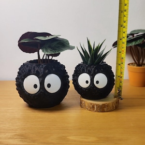 Op de afbeelding: Twee zwarte, bolvormige plantenbakken met grote witte ogen, die op stripfiguren lijken. E&eacute;n bevat een plant met donkergroene en bordeauxrode bladeren, de andere een vetplant. De plantenbakken staan op een houten oppervlak, met een meetlint dat een hoogte van ongeveer 10 cm aangeeft.