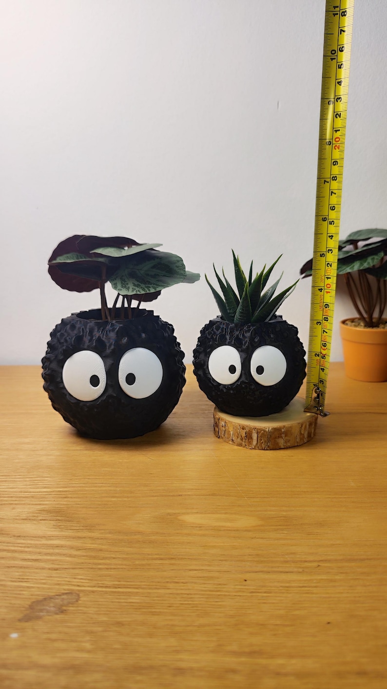 Op de afbeelding: Twee zwarte, bolvormige plantenbakken met grote witte ogen, die op stripfiguren lijken. E&eacute;n bevat een plant met donkergroene en bordeauxrode bladeren, de andere een vetplant. De plantenbakken staan op een houten oppervlak, met een meetlint dat een hoogte van ongeveer 10 cm aangeeft.