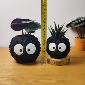 Op de afbeelding: Twee zwarte, bolvormige plantenbakken met grote witte ogen, elk met een kleine plant. De linker plantenbak is ongeveer 10 cm hoog en de rechter plantenbak staat op een houten schijf. Een meetlint is tussen de plantenbakken geplaatst.