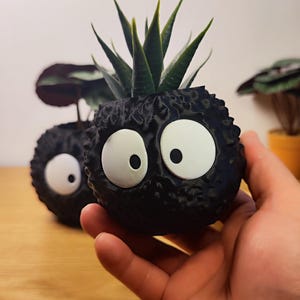 Op de afbeelding: Een zwarte, getextureerde plantenbak in de vorm van een stripfiguur met grote witte ogen. De plantenbak bevat een kleine vetplant met groene bladeren. Een andere soortgelijke plantenbak is zichtbaar op de achtergrond.