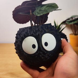 Op de afbeelding: Een zwarte, bolvormige plantenbak met grote witte ogen, die lijkt op een stripfiguur. De plantenbak bevat een kleine plant met donkergroene en bordeauxrode bladeren. De plantenbak wordt in de hand van een persoon gehouden.