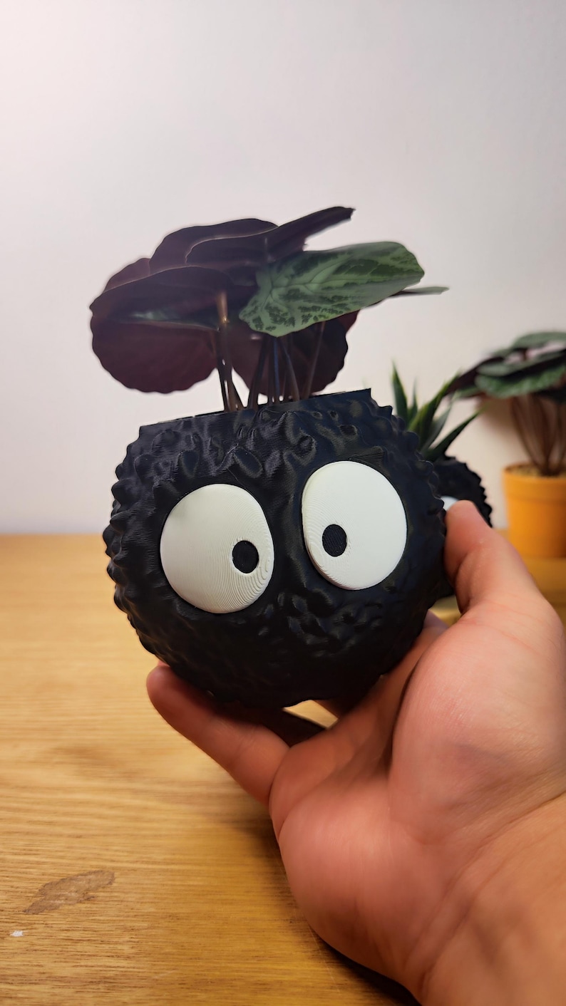Op de afbeelding: Een zwarte, bolvormige plantenbak met grote witte ogen, die lijkt op een stripfiguur. De plantenbak bevat een kleine plant met donkergroene en bordeauxrode bladeren. De plantenbak wordt in de hand van een persoon gehouden.