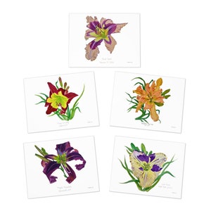 Multi-Design Greeting Cards (5-Pack)