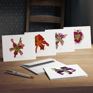 Daylily Multi-Design Greeting Cards (5-Pack)