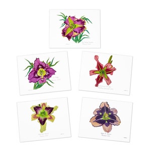 Multi-Design Greeting Cards (5-Pack)