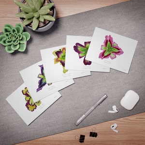 Daylily Multi-Design Greeting Cards (5-Pack)