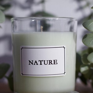 Può includere: Un portacandele in vetro trasparente con una candela verde pallido. La candela ha un'etichetta bianca con la parola "NATURE" in nero. Una piccola pietra verde chiaro è davanti alla candela. Foglie verdi sullo sfondo.