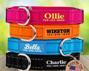 Reflective Nylon Dog Collar – Silent ID Collar with Buckle – Adjustable, Neoprene Padded for Puppies &  Dogs