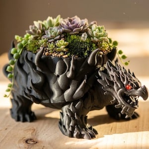May include: A black dragon-shaped planter filled with various succulents and greenery. The planter has a detailed, textured design with flames and a fierce dragon head with red eyes. The plants include a variety of green and purple succulents.