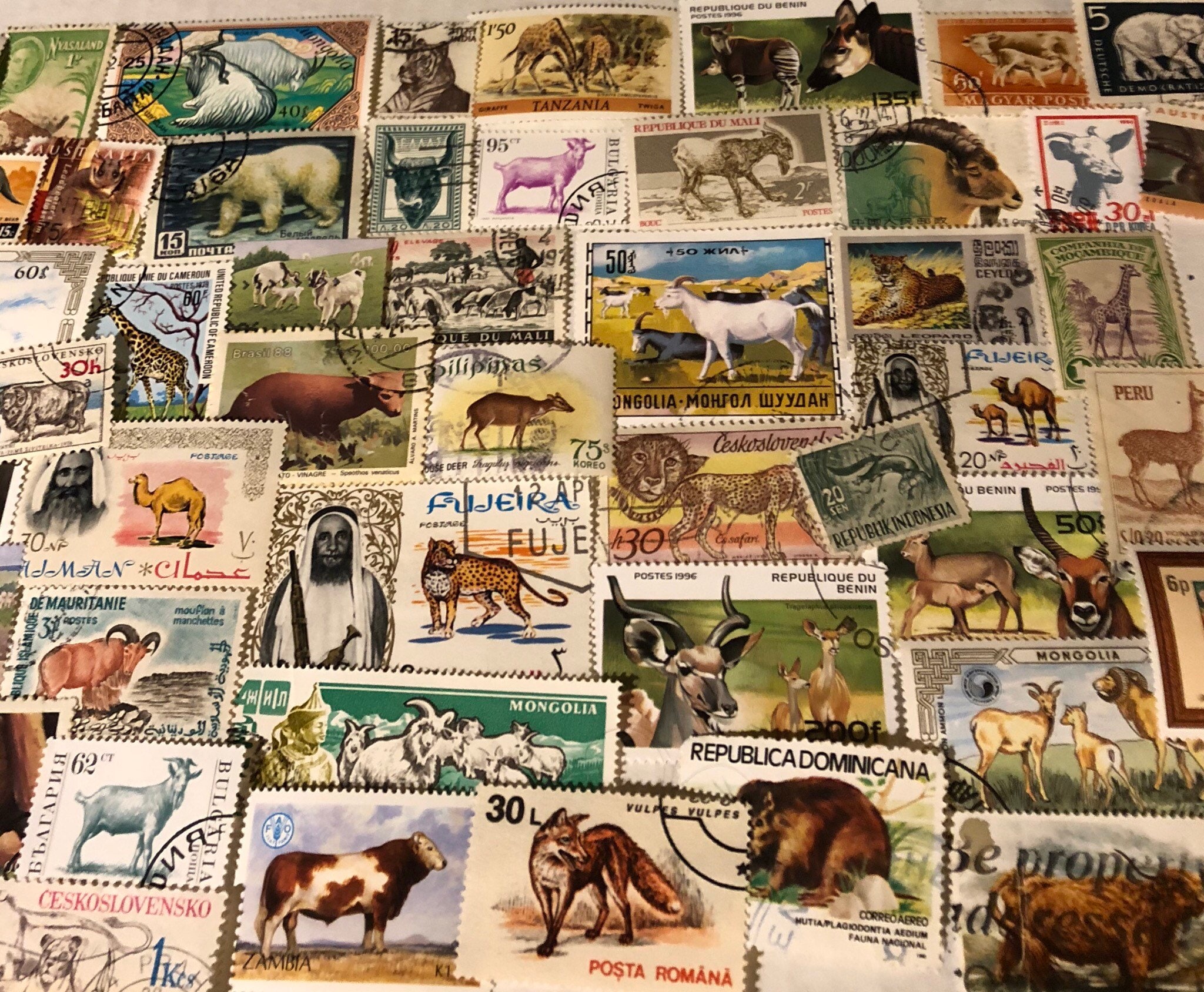 ANIMAL Stamps Used Off Paper Worldwide Postage Stamps, Vintage Paper …